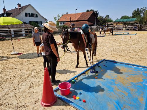 554649179 1298789942043525 5082780321563176687 n