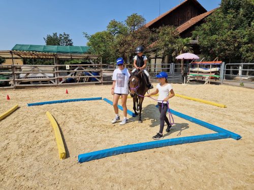 554668123 1298789835376869 8448599278266620613 n