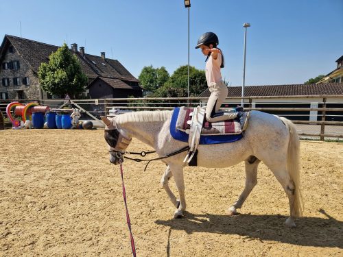 554692417 1298790518710134 3269801223511453339 n