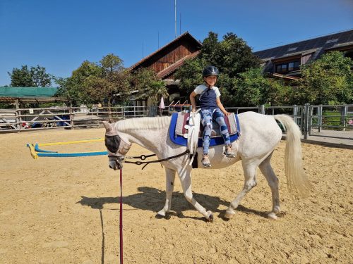 554817848 1298790565376796 4406502482396729166 n