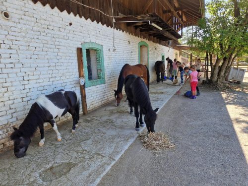 555428297 1298791058710080 4113764402638320076 n