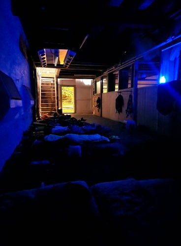 555441135 1298788048710381 7759639111042507011 n