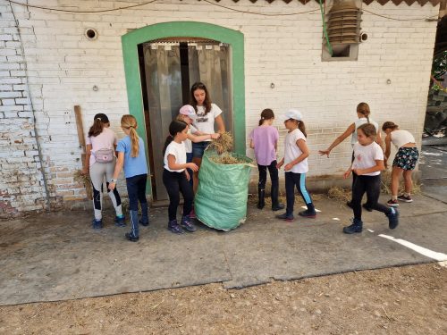 555460981 1298790882043431 3782040838201989110 n