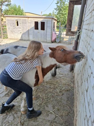 555532070 1298796628709523 1672159531560815782 n