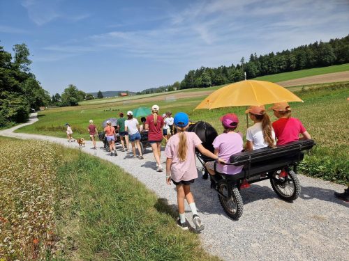 555552748 1298792395376613 6196086607977308733 n