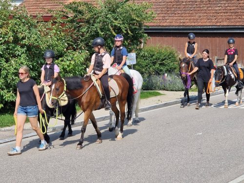 555562693 1298791308710055 6639108114160565450 n