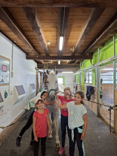 555570057 1298791425376710 1538793525941063750 n