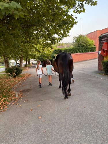 555577422 1298795848709601 6391767858504016663 n