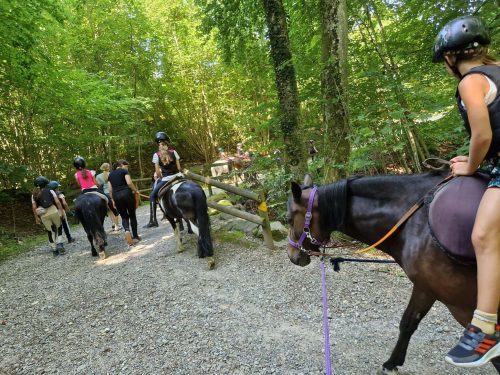 555598208 1298790782043441 6700887545506191207 n