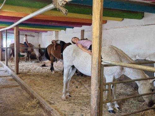 555607499 1298795528709633 5962781366213693348 n