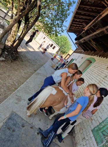 555632796 1298786592043860 3065820769270019020 n