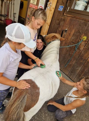 555732168 1298787258710460 9000298839746144267 n