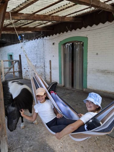 556042036 1298796522042867 8498664595739854740 n