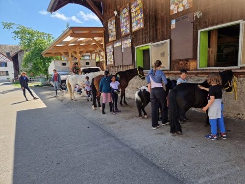 555962095 1298759865379866 7042259634919058916 n