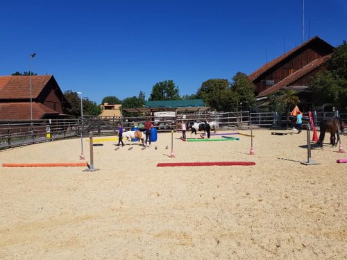 305205345_549281140327746_4559408018222299932_n