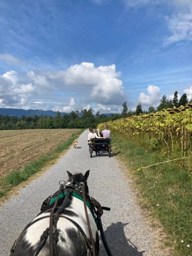 305205965_549284340327426_234584825456255969_n