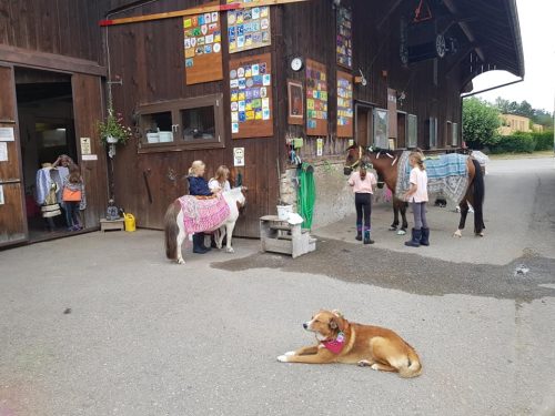 305279827_549287130327147_7647052810261016038_n