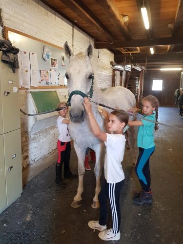 305385987_549271440328716_1790011142028128374_n