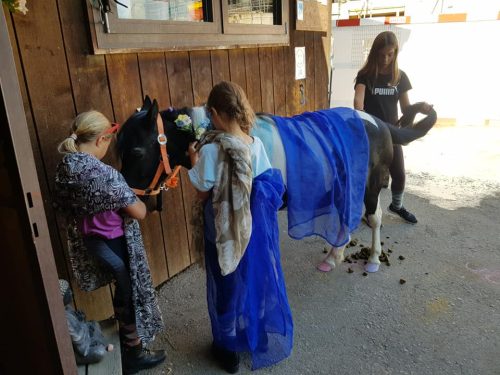 305392774_549274166995110_5688681747875118791_n