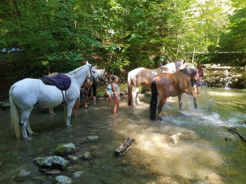 305395445_549281953660998_4152631801690799719_n