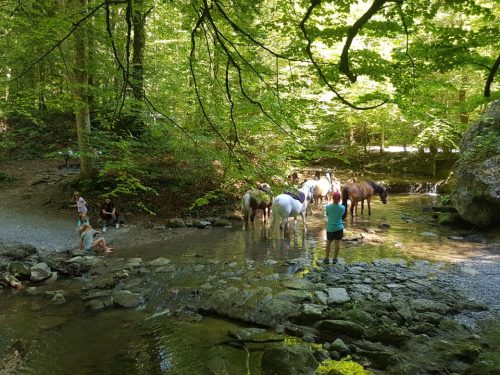 305397505_549281806994346_415569504311309652_n