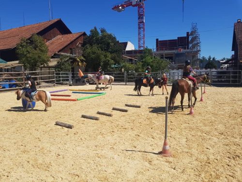 305399068_549272636995263_3744076247827106790_n