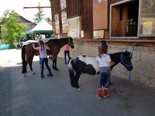 305400516_549269920328868_8194786461966668193_n