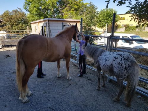 305406468_549271183662075_6561509500677168427_n