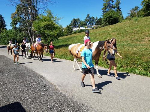 305433060_549281593661034_6236125203452138271_n