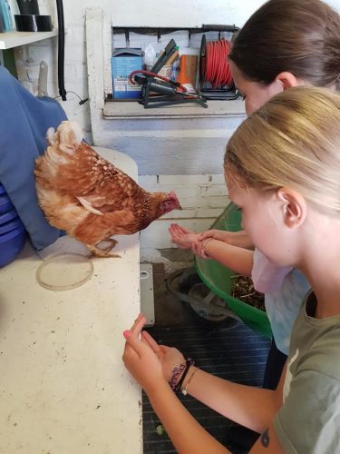 305433704_549281350327725_2029174261864429645_n