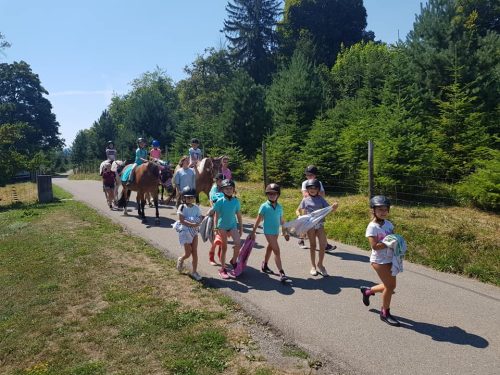 305440102_549271743662019_5636965224875183247_n