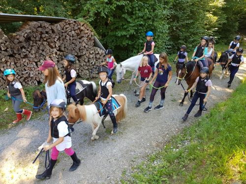 305453110_549270093662184_4464589604504632855_n