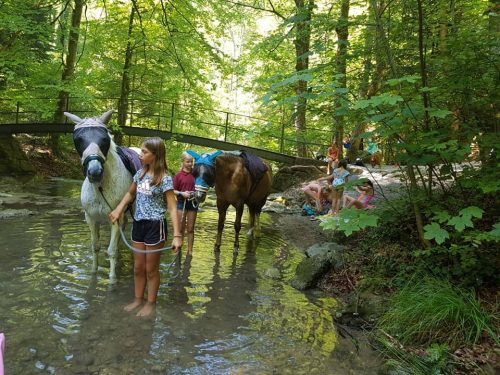 305464172_549272090328651_8809016909925922242_n