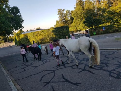 305464172_549272470328613_4861671035453136254_n