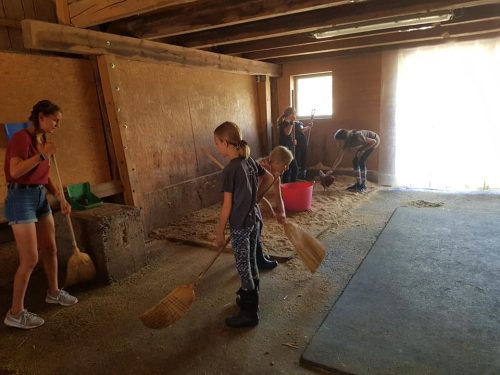 305490633_549280580327802_305828636671766387_n