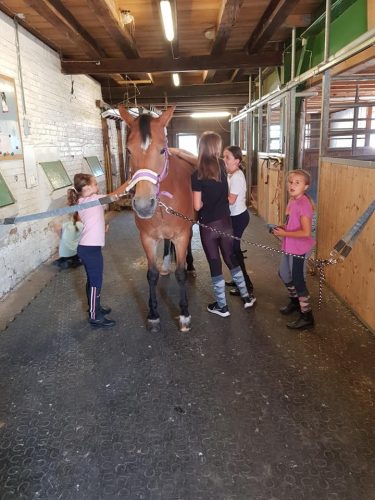 305496982_549271096995417_8419713926408689998_n