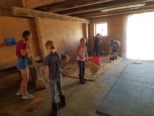 305505801_549280726994454_6670591879802008524_n