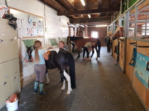 305528858_549283033660890_982115730466729811_n