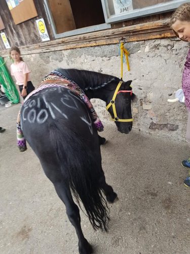 305531298_549287596993767_4648112938673414278_n