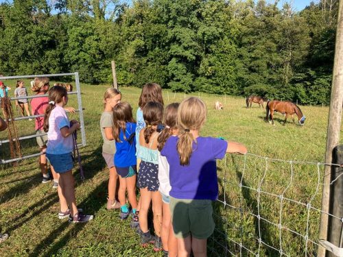 305585195_549284196994107_8381267770820348971_n