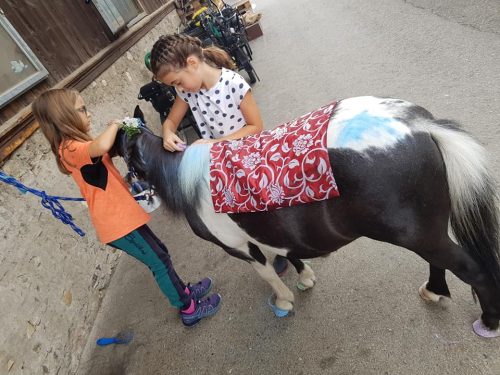 305619739_549286706993856_2932899538429547993_n