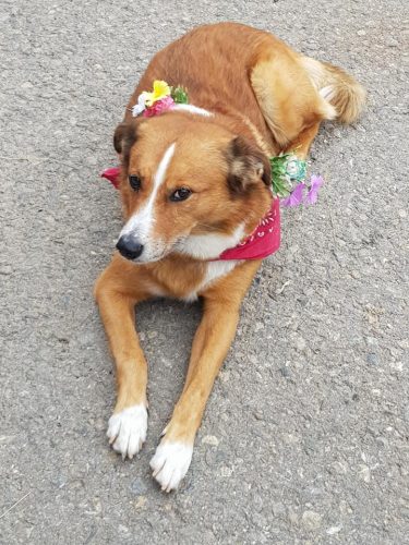 305636430_549287003660493_3399877160452576779_n