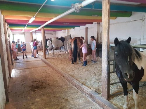 305699131_549282230327637_8441315372142358272_n