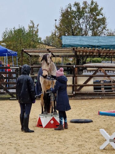 406676734_835756095013581_4119227861251281332_n